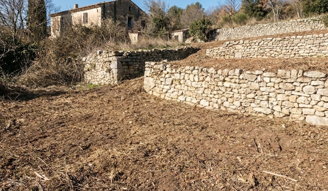 Terrain propre après débroussaillage